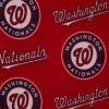 Brand new 🧨 MLB Washington Nationals Fleece Fabric 👏