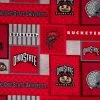 Deals ???? Ohio State Block Collegiate Fleece Fabric ???? 2 Deals ???? Ohio State Block Collegiate Fleece Fabric ???? -NFL Shop 350Wx350H 934331 1120 px