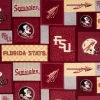 Best Sale ✨ Florida State Block Collegiate Fleece Fabric ???? -NFL Shop 350Wx350H 952143 0222 px