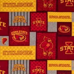 Wholesale ???? Iowa State Block Collegiate Fleece Fabric ????