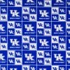 Cheapest ???? Kentucky Block Collegiate Cotton Fabric ???? 2 Cheapest ???? Kentucky Block Collegiate Cotton Fabric ???? -NFL Shop 350Wx350H 952556 1018